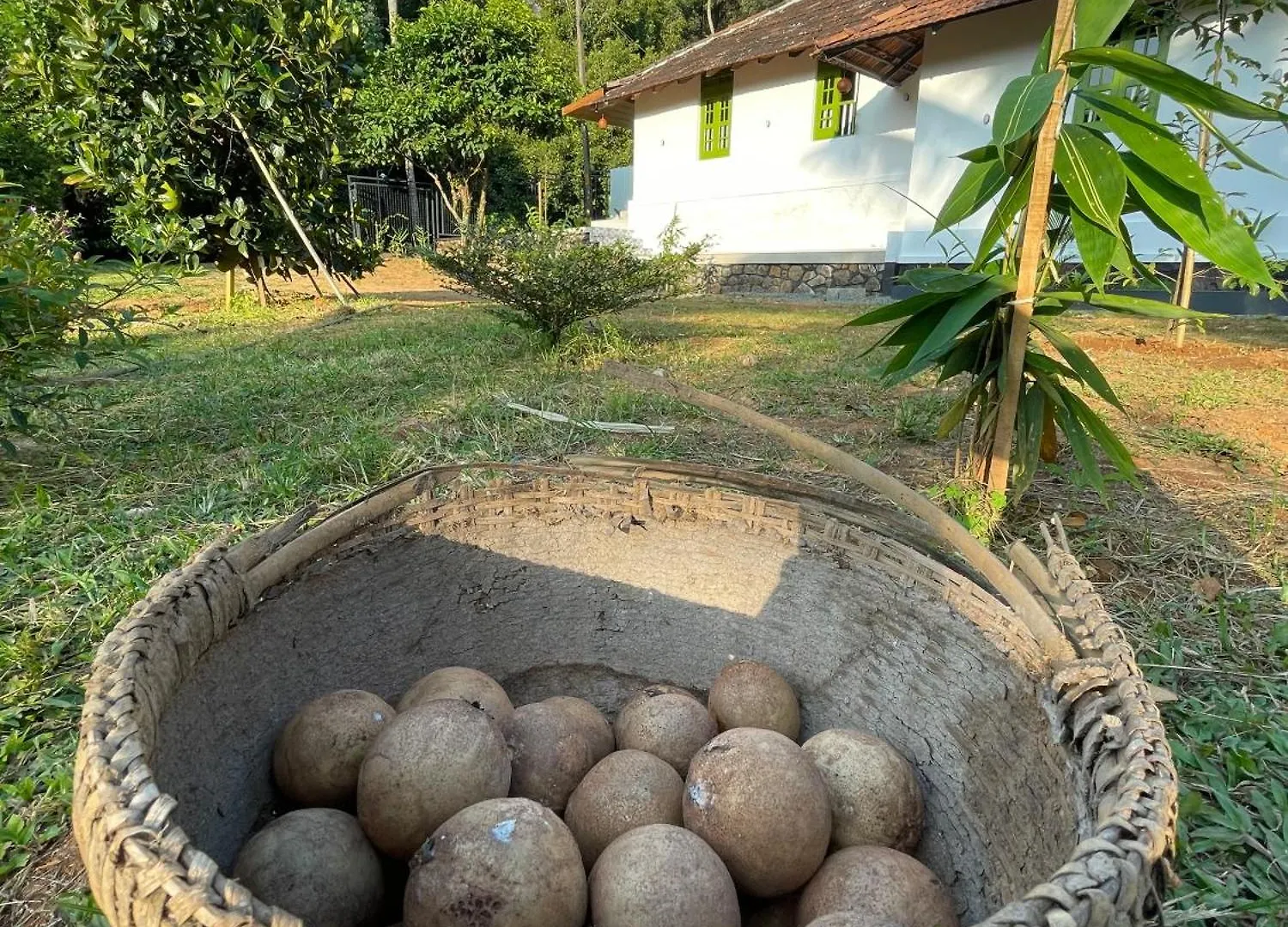 Calm Shack - 2 Bedroom-Boutique Farm Stay Munnar
